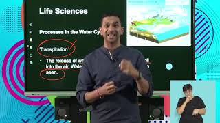 Life Sciences Grd 10 Nutrient Cycles Water And Oxygen Cycle S4