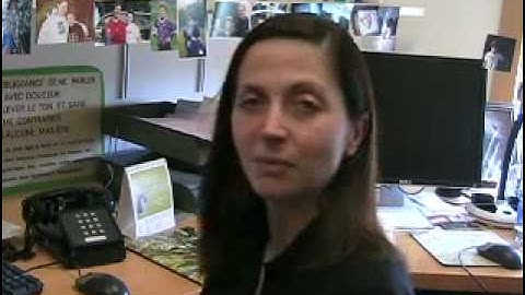 Blogging for Foreign Language Students