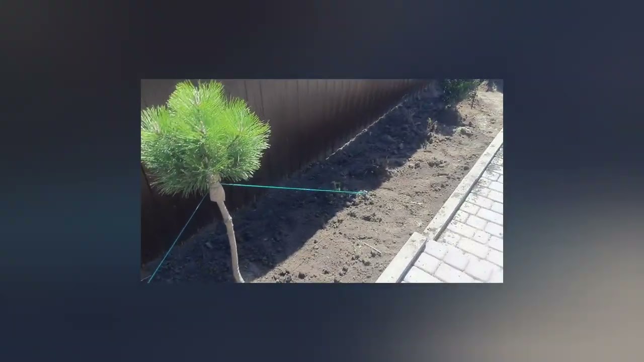 Благоустройство участка. часть 1