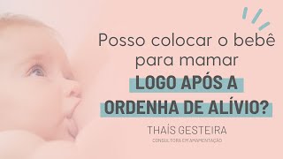Posso Colocar O Bebê Pra Mamar Logo Após A Ordenha De Alívio?