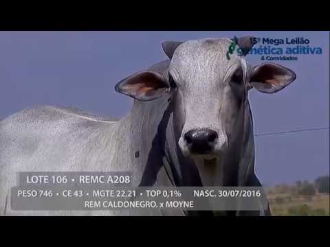 Lote 106 - REM FOTO