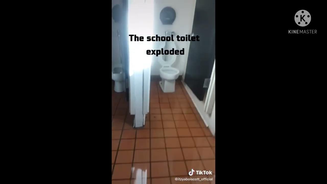 Clogged toilets compilation 1 (tik tok version) YouTube