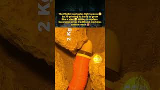 This Robot EATS Plastic to Grow! 🤖🌱 #HistoryAsylum