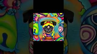 Blue Oyster Cult Don't Fear the Reaper cfbennettmedia 52 #music #rock