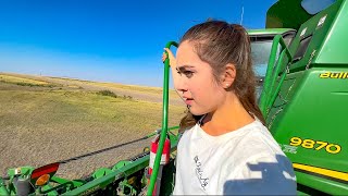 Roding with Combine Harvesters & 2 Flies!  Montana Harvest 2022 by Kate's Ag - Farm to Fashion 155,994 views 1 year ago 10 minutes, 3 seconds