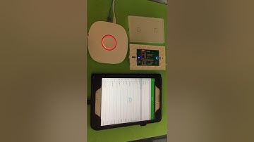 Demo on Adding Nue 2 Key Scene Switch with Nue ZigBee Bridge