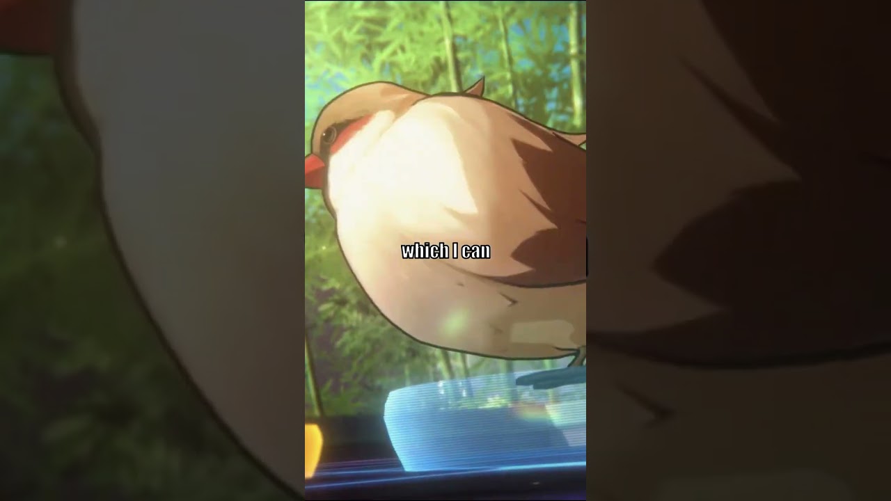 Path of Abundance Explained