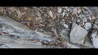 Find New Water Fall In Sisneri