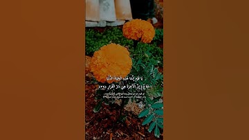 تلاوة من محمد صديق ألمنشاوي (سورة غافر ، آية ٣٩)