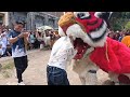 Ukhti Cantik Dicaplok Barongan Pandawa 
