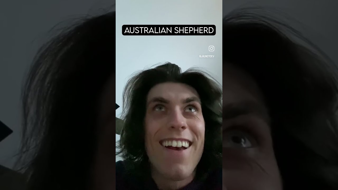 How Dog Breeds React To Robbers PT 3 Dogbreeds Dogs