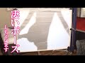 ロリ顔ツインテール美少女の生着替え!かわいい下着の中身はまさかの巨乳でした♡【白浜美優】
