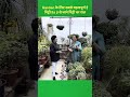 Garden के लिए सबसे महत्वपूर्ण है | मिट्टी Ila ji से जाने मिट्टी का राज़ #shorts  #shanticreations
