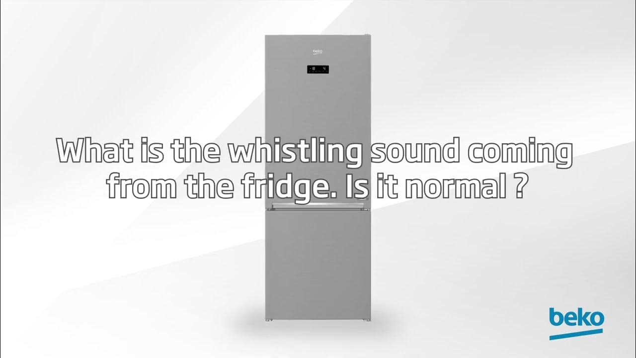 Холодильник шумит. Холодильник beko side by side. Холодильник beko rcsk 270m20 s. Почему гудит холодильник beko. Beko rcnk 400e20 zx.