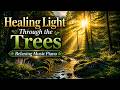 Healing Light Through the Trees 🌿 Relaxing Piano Music for Stress Relief &amp; Deep Calm