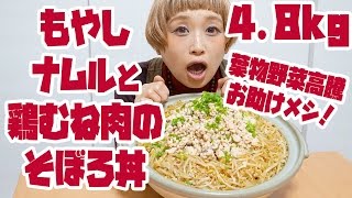 【BIG EATER】4.8㎏! Tori Soboro & Bean Sprouts Namul Don(rice bowl)【MUKBANG】【RussianSato】