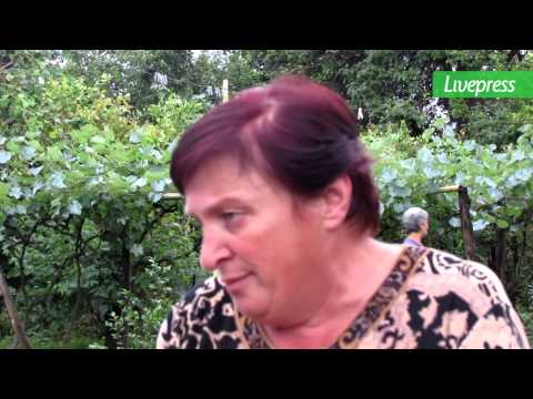 დაკავება ორსანტიაში