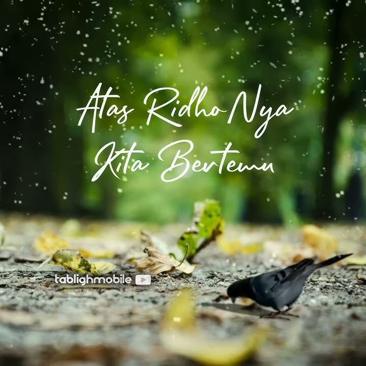 Mencintai Karena Allah - Status WA