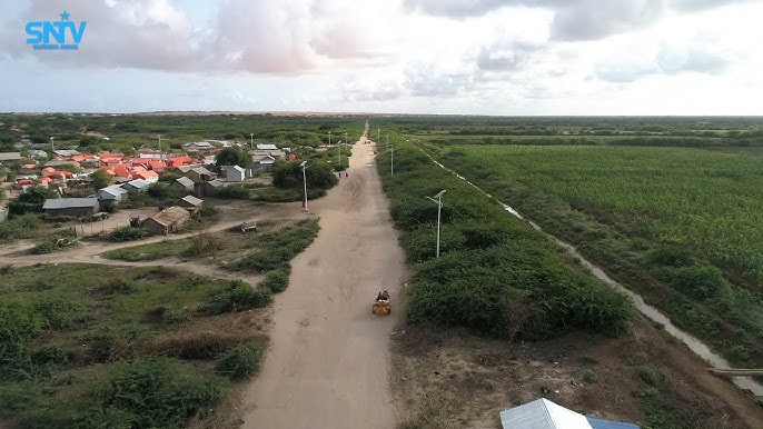 Yalangoch Jeneva shahri Butalardagi ananistlar