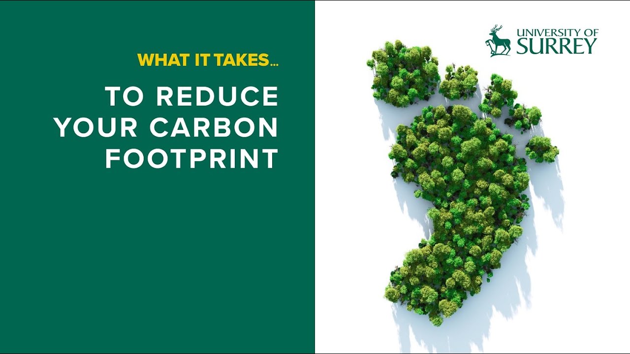 What it takes... to reduce your carbon footprint