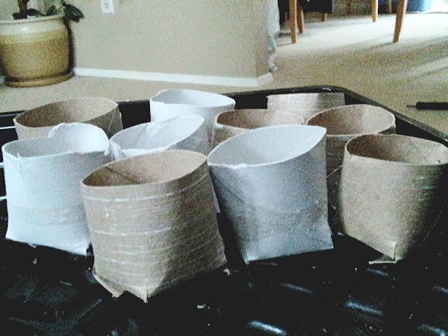 How to make Seed Starter Pots Reusing Toilet Paper Tubes 