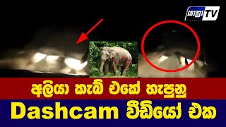 අලියා කැබ් එකේ හැපුනු Dashcan වීඩියෝ එක - Elephant Accident
