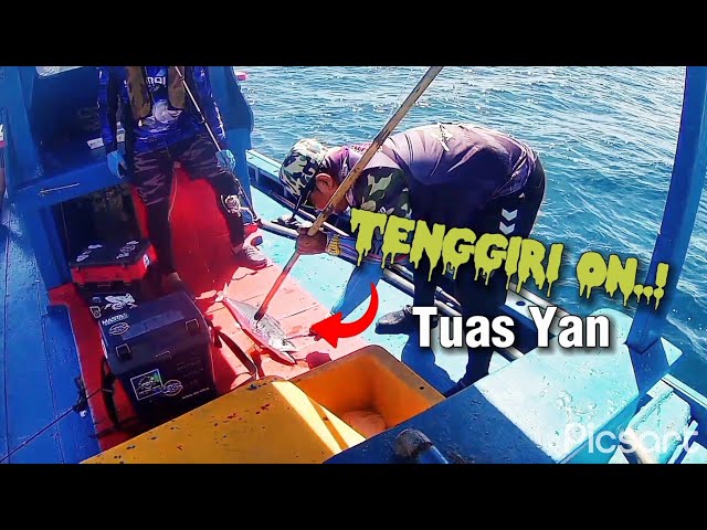 Trip Mancing Tenggiri tuas yan | Tekong Pak Yus Kuala Sungai Udang | class=