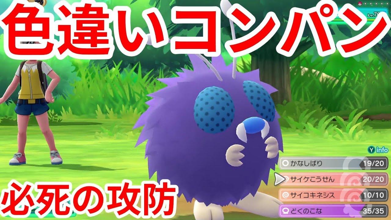 まさに王者 色違いニドキング ニドクインが最強だった ポケモンlet Sgo イーブイ Youtube