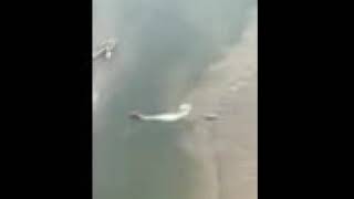 TowBoatUS Soft Ungrounding Charleston Harbor screenshot 4