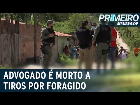 Vídeo: As Autoridades De Washington Não Têm Evidências De Que Os Desordeiros Planejaram Os Assassinatos