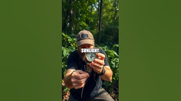 Mastering Natural Navigation in Dense Forests