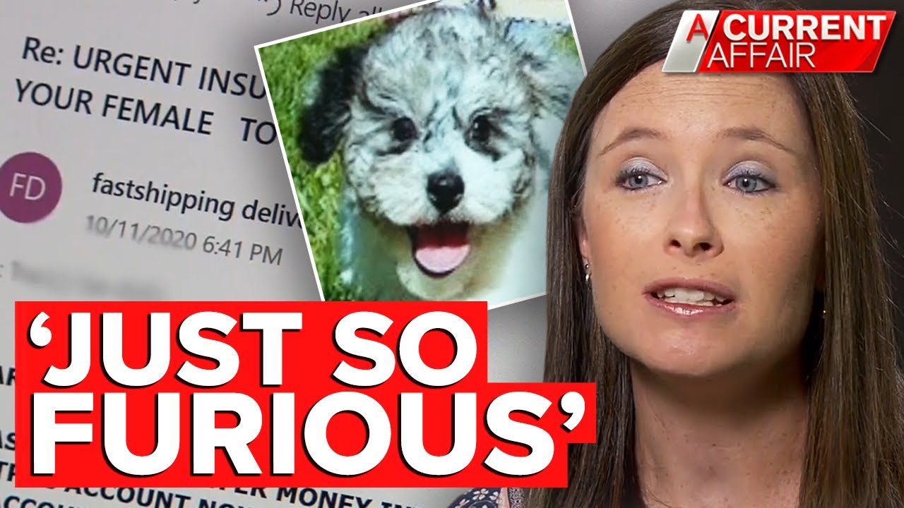 Tricked into buying puppies that don't exist | A Current Affair - YouTube
