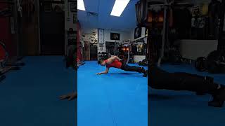 Weighted Plank / Abs Fitness Lesson / Sifu Freddie Lee