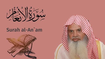 سورة الأنعام الشيخ علي الحذيفي  Ali Alhuthaifi Surah al-An`am