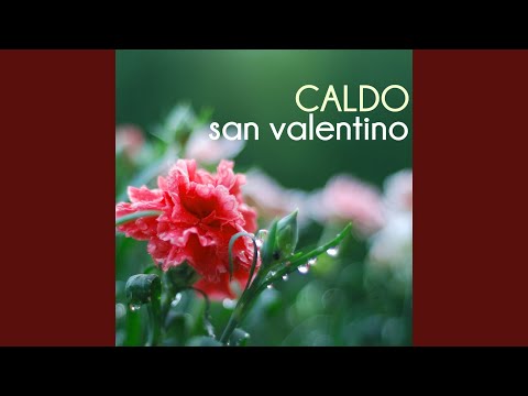 Video: Sapone Di San Valentino