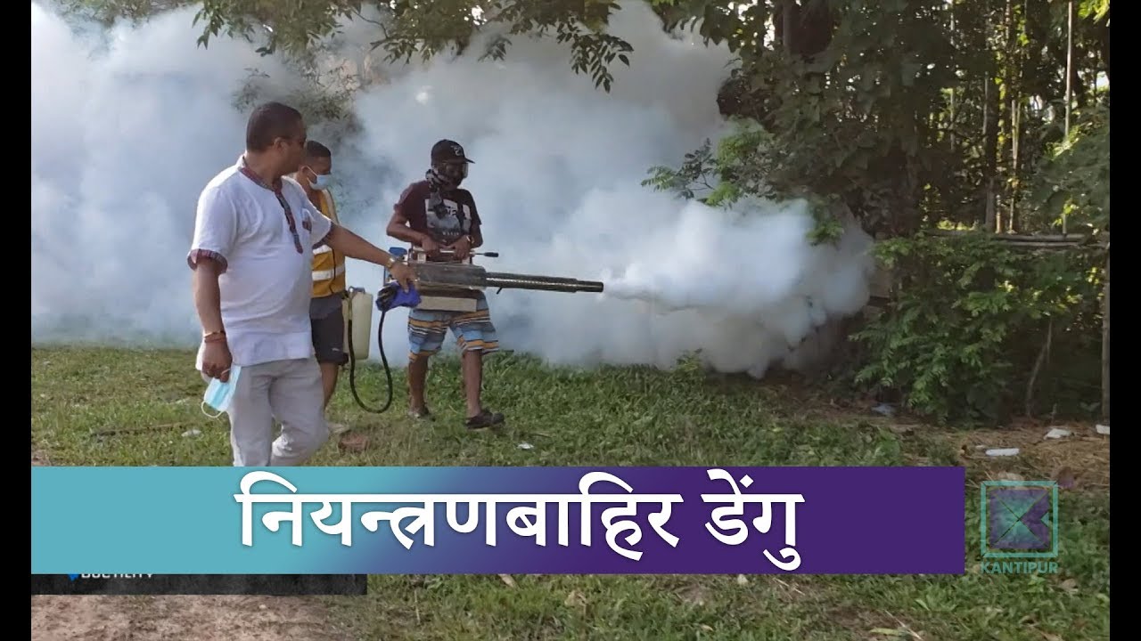 धरानमा तीन साताअघि फैलिएको डेंगु नियन्त्रणबाहिर | Kantipur Samachar news headlines uk