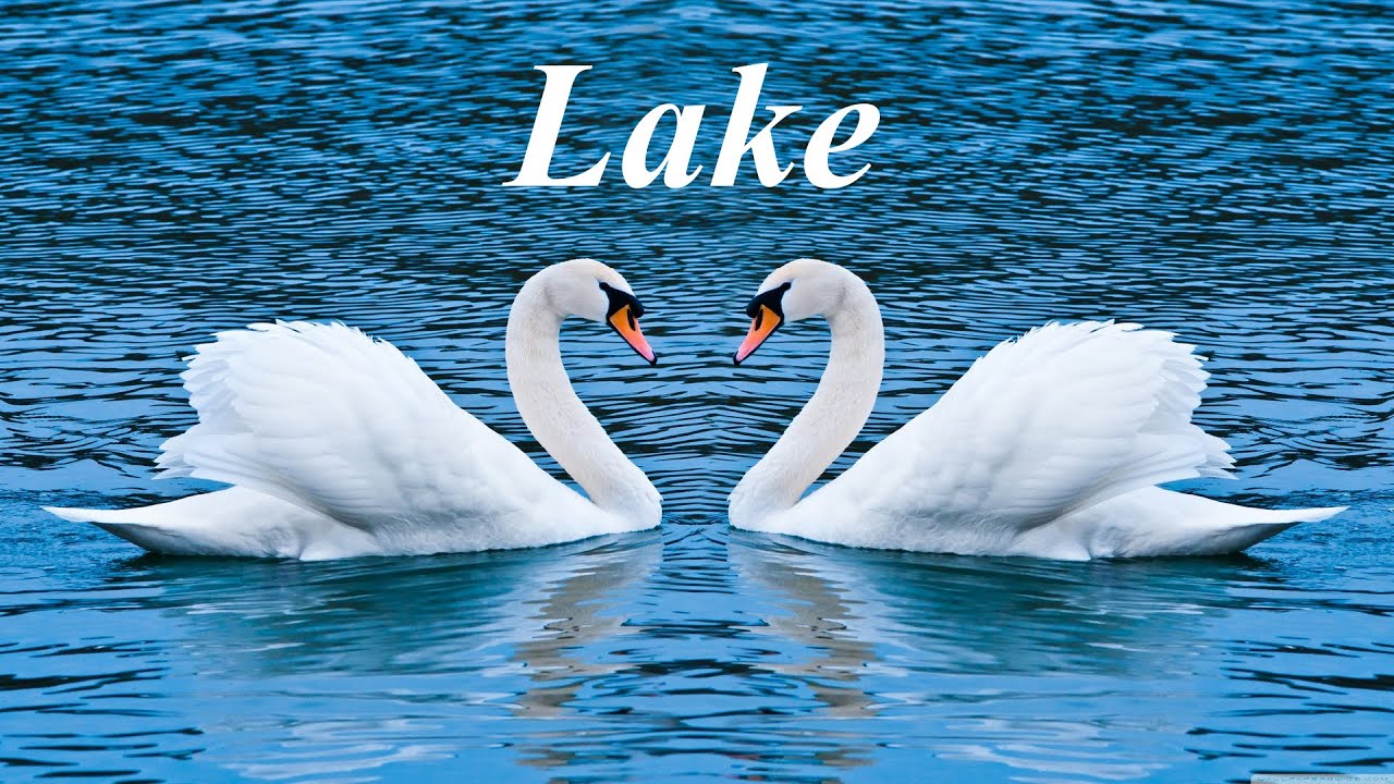 Watch ✅ LAKE (ORIGINAL MUSIC) #yuriysaliy #music #beautifulmusic #song on YouTube Watch ✅ LAKE (ORIGINAL MUSIC) #yuriysaliy #music #beautifulmusic #song on YouTube