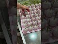 Preserved Flower Pruning Craft #craft