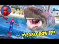 GTA 5 - Can Spiderman FISHING Megalodon Shark ?