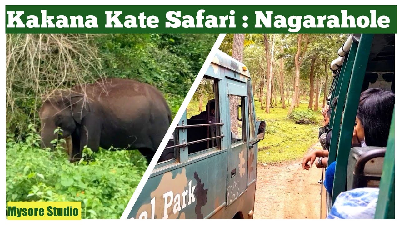 nagarahole tiger reserve safari booking