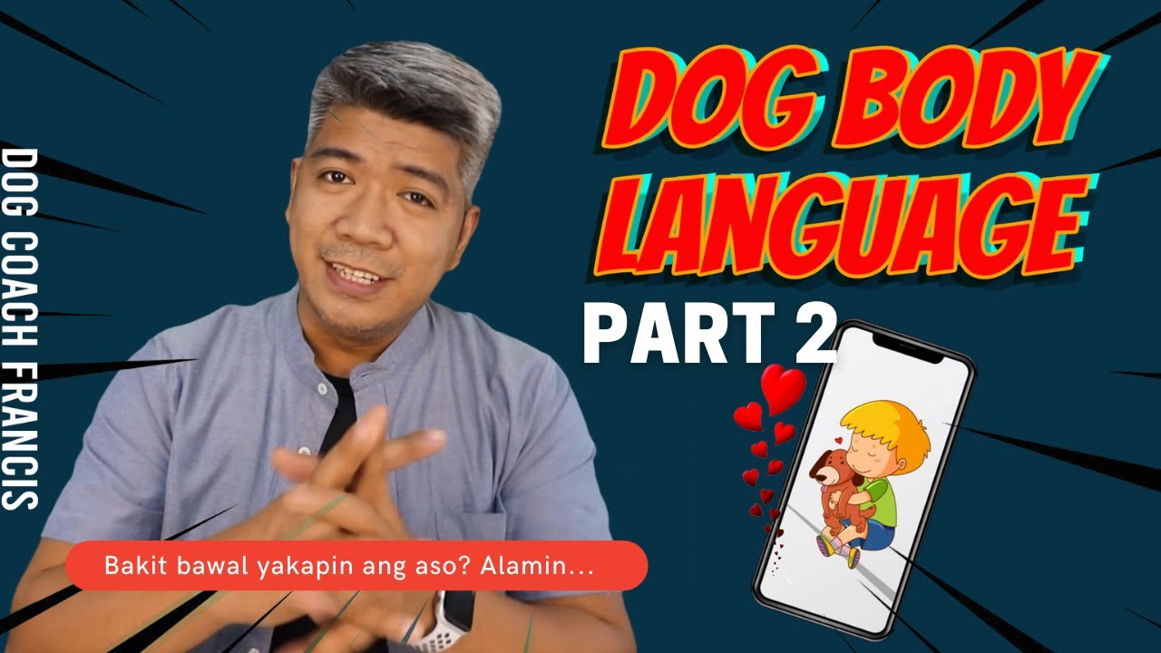 Bakit Nagtatae Ang Aso Bakit Bawal Yakapin ang Aso? Alamin! - YouTube