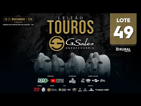 LOTE 49   MFBN 12380