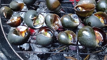 Ốc nhồi ốc bươu đen l Nướng satế tôm l Món ngon dân dã miền Tây.