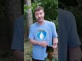 $1 =One Year of Clean Water #viral #shorat #viralshort #mrbeast #subscribe