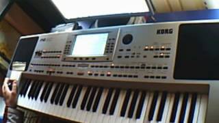 Novo Ork Merdin Tigara Korg Pa 80 Karaoke 2016