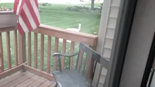 Blowing An Airhorn At My Neighbors