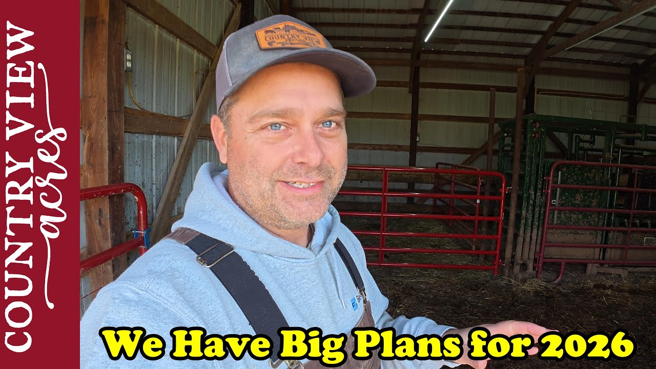 Цели развития нашей небольшой фермы на 2026 год. Достигли ли мы поставленных целей в 2025 году?