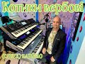 Котики вербові (COVER) НАЖИВО (Ketron Audya5,Ketron EVENT,Yamaha MODX7).