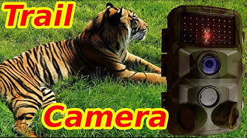TOGUARD H45 Trail Game Camera 14MP 1080P