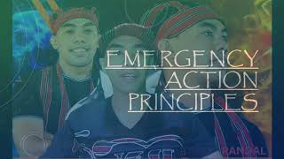 Emergency Action Principles || Primary assessment